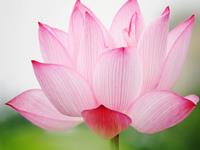 潘教授一周星座运势（6.10-6.16）