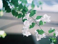 娜迪亚一周星座运势（8.21-8.27）