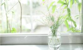闹闹女巫店今日运势2018年4月18日
