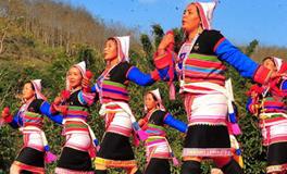 独具特色的基诺族有哪些传统文化？