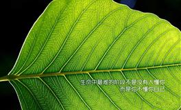 狂月今日运势2020年11月28日