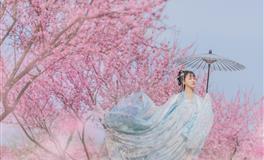 唐绮阳/唐立淇今日运势2021年2月1日