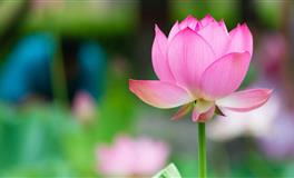 花甜12星座一周运势（10.11-10.17）
