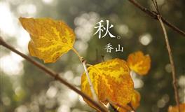 蒂姆狮子座一周运势(12.26-1.1)