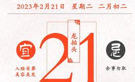 闹闹女巫店今日运势2023年2月21日