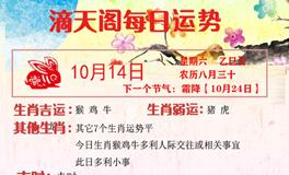 滴天居士2023年10月14日生肖运势