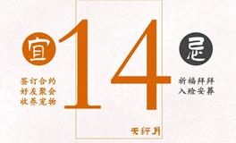 闹闹女巫店今日运势2023年10月14日