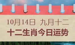 十二生肖今日运势2024年10月14日