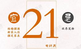 闹闹女巫店今日运势2024年10月21日