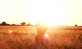 判答水瓶座2025年11月运势