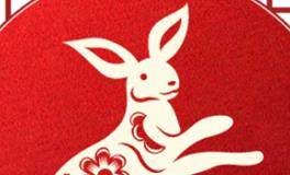 董易林生肖兔2025年11月运势