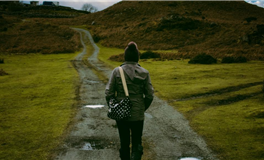 水玲师傅生肖鼠2026丙午年运势