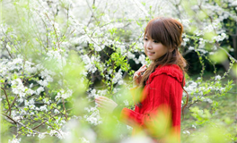 滴天居士2025年11月21日生肖运势