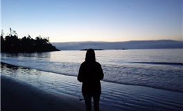 第四季度业绩辉煌，收入翻倍星座排名揭晓！