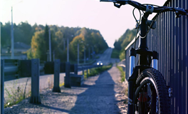 属虎人2026年幸运色