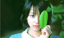 苏米君十二星座每日运势播报（2025年11月18日）