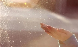 能接受姐弟恋的星座男，真心相爱不怕难