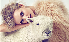 柒爸天蝎座2026年1月运势