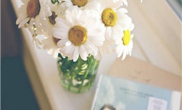 十二星座的弱点