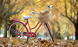 爱莎公主巨蟹座2025年12月塔罗运势