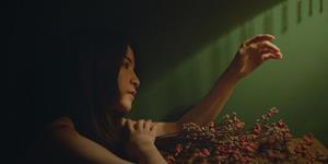 爱莎公主十二星座2026年1月塔罗运势