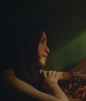 爱莎公主十二星座2026年1月塔罗运势