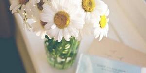 十二星座的弱点