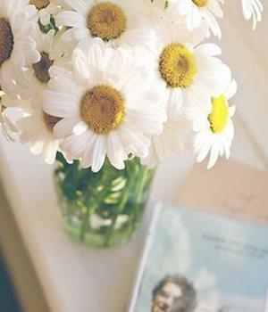 十二星座的弱点