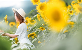 擅长解读情绪的星座