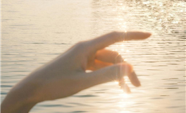 滴天居士生肖猴2026年1月运势