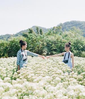 闹闹女巫店一周星座运势（1.5-1.11）