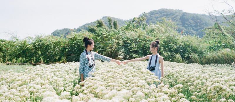 闹闹女巫店一周星座运势（1.5-1.11）