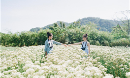 闹闹女巫店一周星座运势（1.5-1.11）