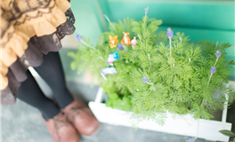 佩妮每周星座运势（1.19-1.25）