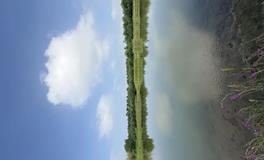 春节前后运势提升指南：把握新春旺运时刻