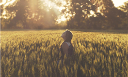 天蝎座是比较记仇的