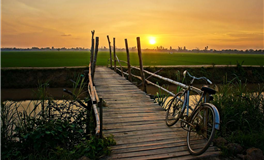 星座日运 2026年2月26日 星期四 农历正月初十