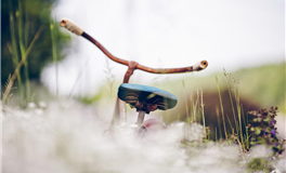 智慧超群！这四大星座，天生自带高智商光环