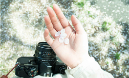 董易姗每日生肖运势2026年4月29日