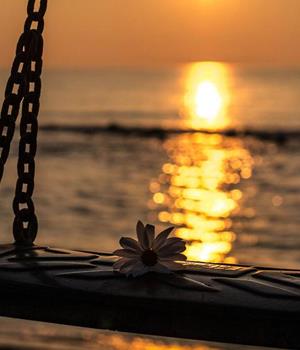 把焦虑变成动力，遇到大事更能成功的星座