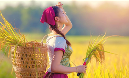 董易姗每日生肖运势2026年4月17日