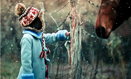 易鑫今日生肖运势2026年4月18日