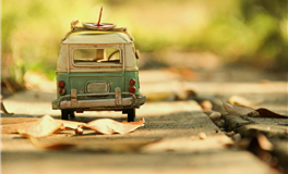 绵里藏针！底线比谁都清晰的温柔星座