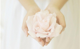 郑博士每日生肖运势2026年4月19日