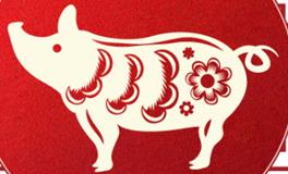 董易林生肖猪2026年5月运势